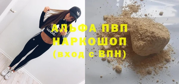 шишки Верхний Тагил