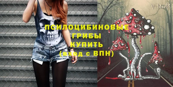 шишки Верхний Тагил