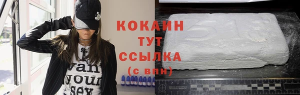 шишки Верхний Тагил