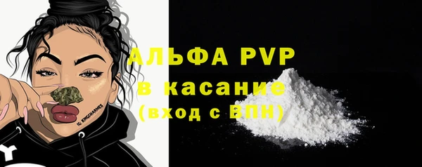 шишки Верхний Тагил