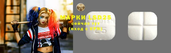 шишки Верхний Тагил