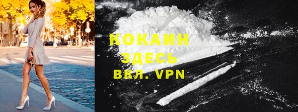 шишки Верхний Тагил