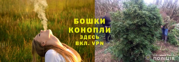 шишки Верхний Тагил