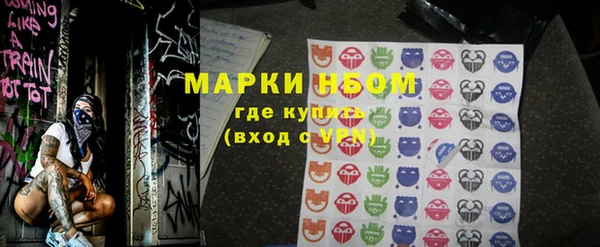 шишки Верхний Тагил