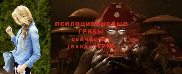 гидра Верхнеуральск
